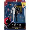 Two-Face (Batman the Animated series) (McFarlane Toys) in doos build Maxie Zeus collection