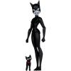 Catwoman (the new Batman adventures) (McFarlane Toys) in doos