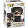 Harry Potter with sword & fang Pop Vinyl Harry Potter (Funko) convention exclusive