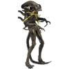 Aliens Xenomorph Warrior (battle damaged) MOC Neca