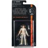Star Wars Padmé Amidala the Black Series MOC