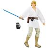 Star Wars Luke Skywalker (Tatooine) the Black Series 6" en doos