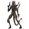 Scorpion Alien Aliens MOC Neca (Kenner tribute)